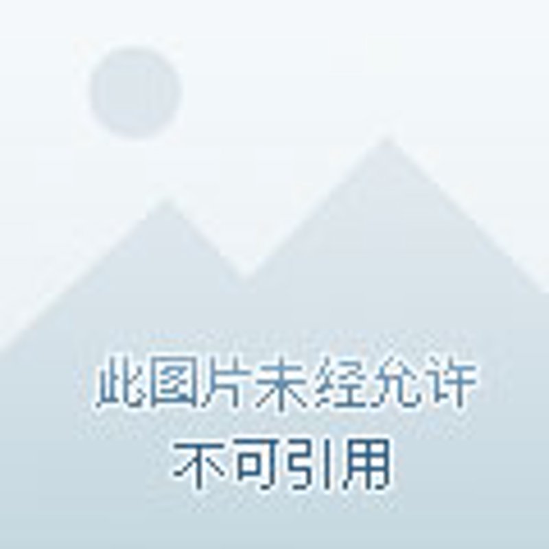 外贸代理:揭秘中小型企业的国际销售秘密